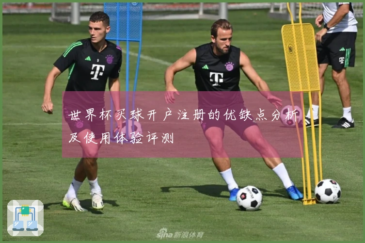 世界杯买球开户注册的优缺点分析及使用体验评测