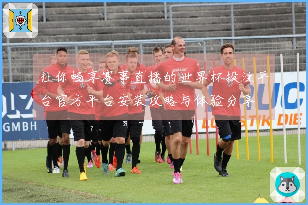 让你畅享赛事直播的世界杯投注平台官方平台安装攻略与体验分享