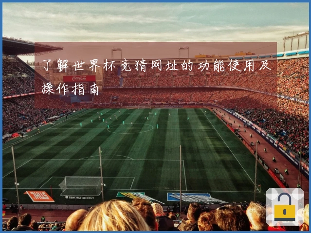 了解世界杯竞猜网址的功能使用及操作指南