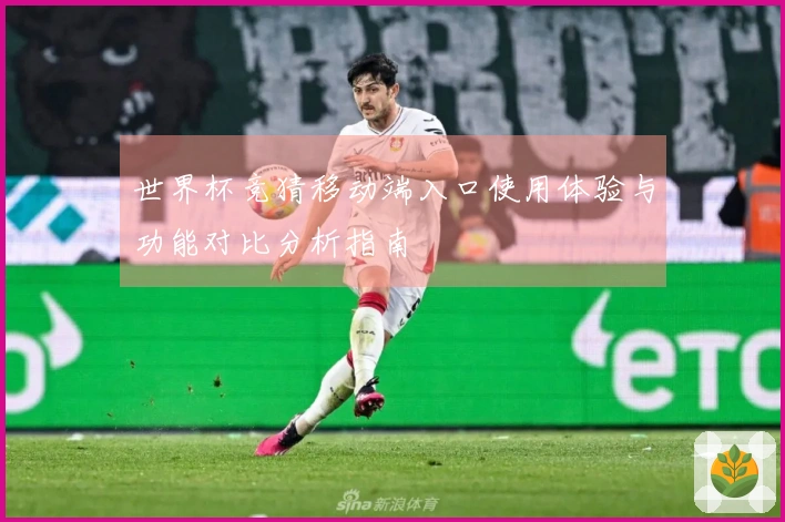 世界杯竞猜移动端入口使用体验与功能对比分析指南